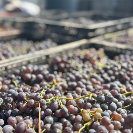 ⁨	לאחרונה, הממרחים שלנו הגיעו ליקב אורן שבמושב נתיב העשרה.יקב אורן הוא הרבה מעבר ליקב.
הוא סמל לתקומה, לעמידה איתנה ולהמשכיות החיים.לאורן היה חלום לפתוח יקב (למרות שבכלל אהב יותר בירה) שבועיים לפני אותה שבת שחורה החליט אורן ללכת אחרי החלום ולהתחיל בעבודה.
בבוקר אותה שבת יצא להילחם ולהגן בגבורה על המושב. אורן הוא אחד מעשרים חללי המושב שנפלו בשבת השחורה.היקב נושא את שמו וממשיך את דרכו, עם אמונה גדולה שיום אחד יהיה פה טוב יותר.
אנחנו מתרגשים להיות חלק מהדרך הזו, ומודים על הבחירה בנו.מזמינים אתכם לבוא, להכיר את אורן ואת מי הוא היה, את המשפחה המדהימה ולטעום את היין המשובח שהיה חלומו של אורן.את הממרחים שלנו ניתן לרכוש ביקב ולאכול בתפריט המוגש במקום.‪@oren_winery‬⁩